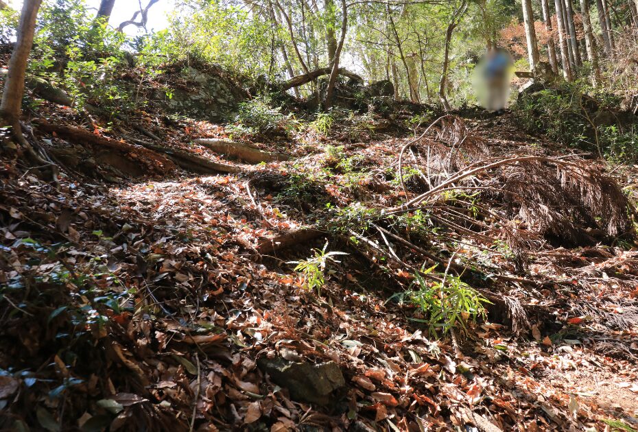 急な斜面の登山道