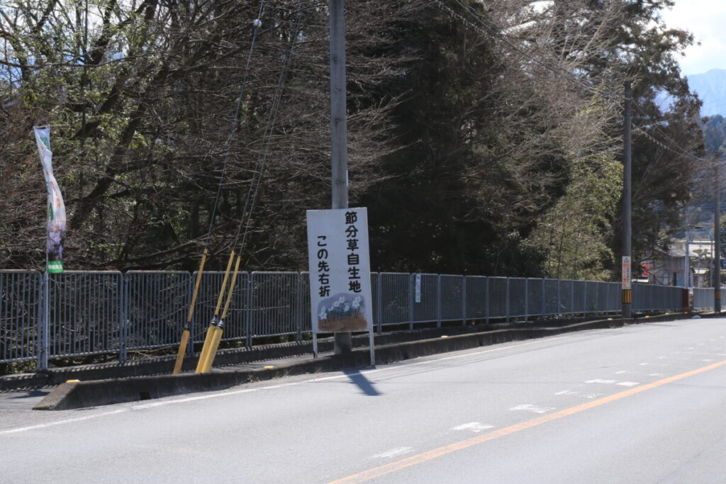節分草自生地への案内板