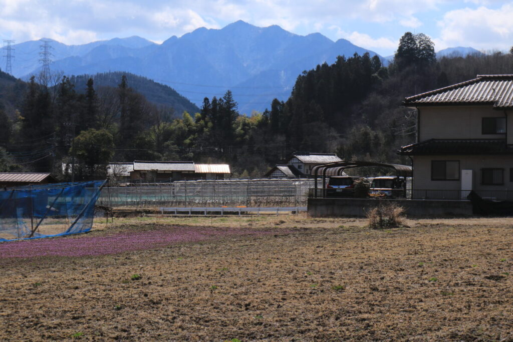 節分草園までの道から見た山