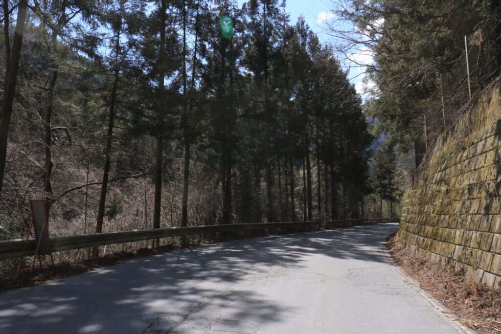 節分草園への道路