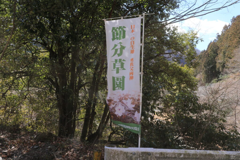 節分草園登り旗