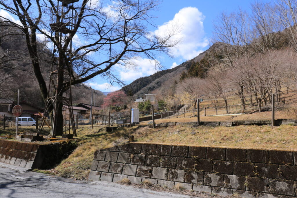 堂上節分草園への景色