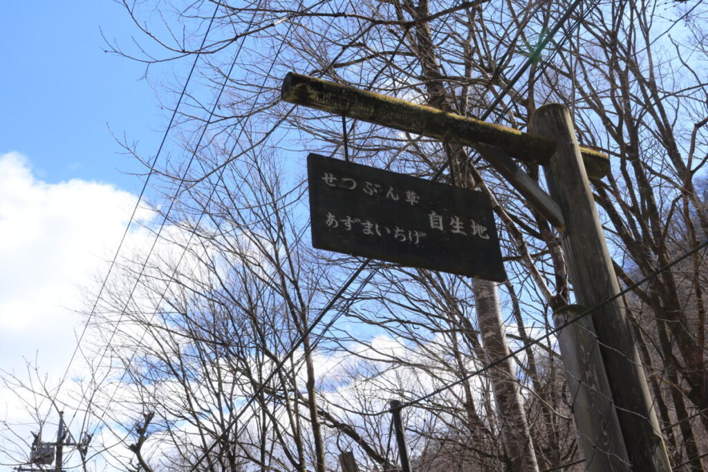 節分草・アズマイチゲ自生地案内板