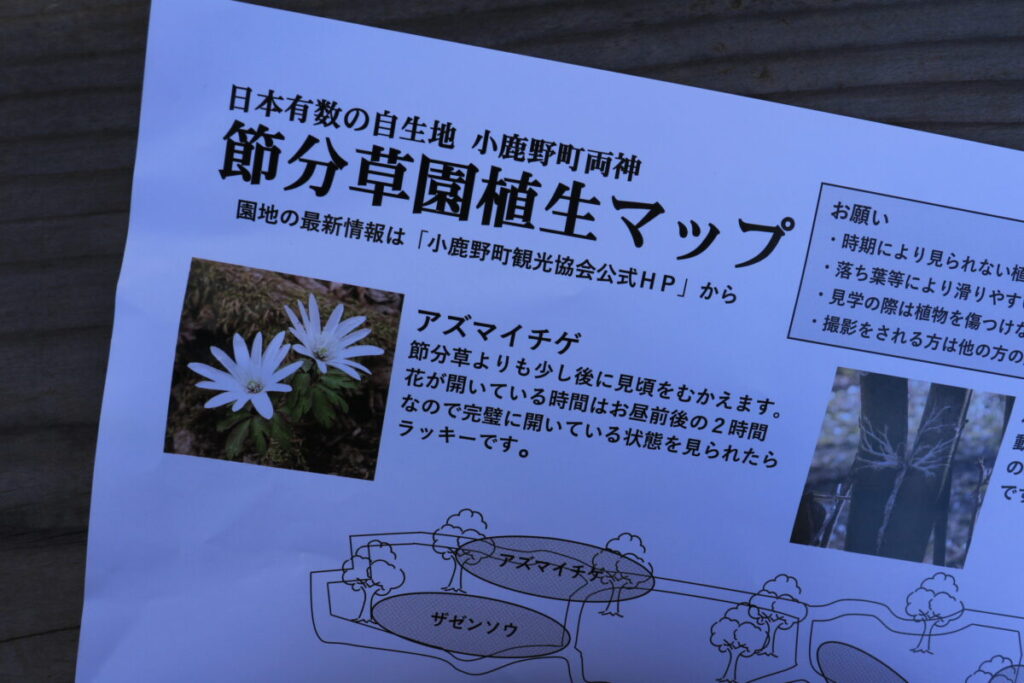 節分草園マップ