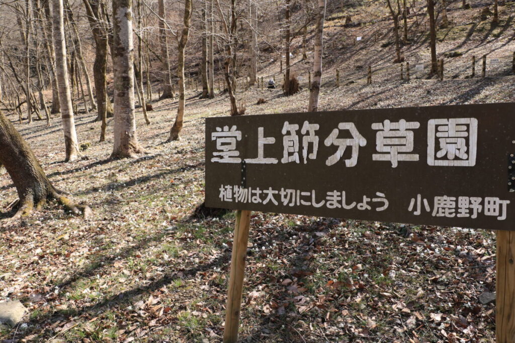 堂上節分草園看板