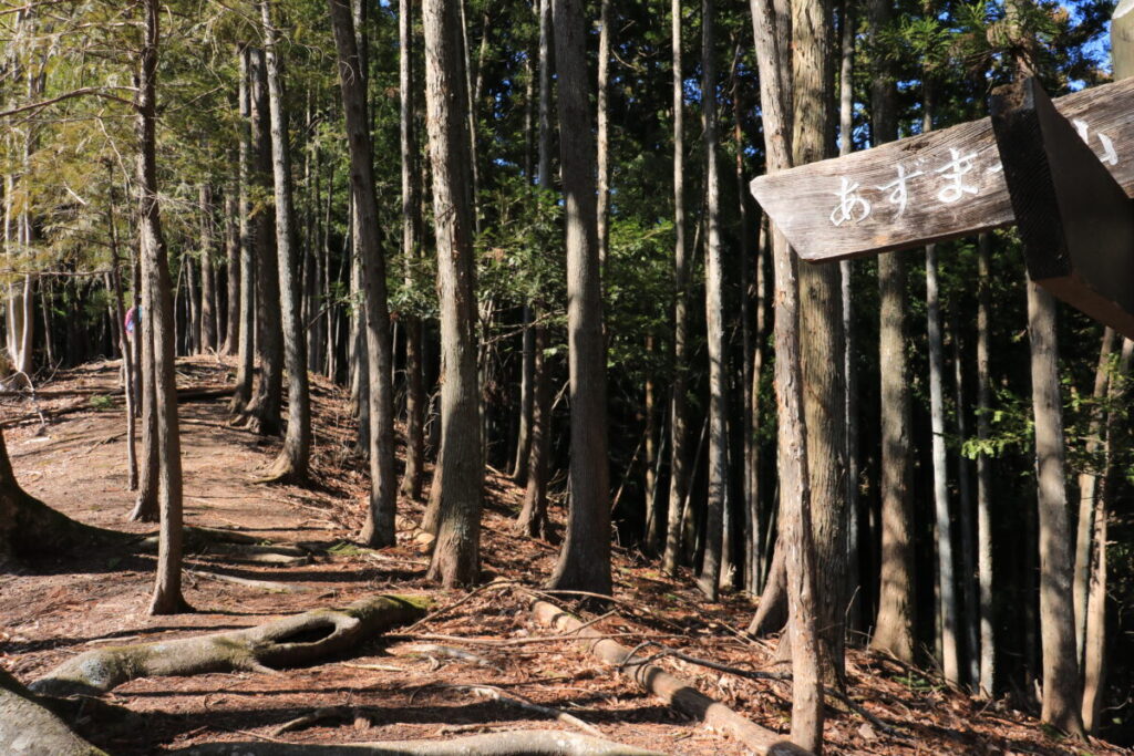 四阿屋山への登山道