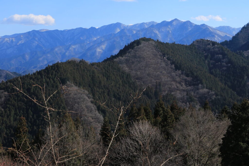 福寿草園から見た山々