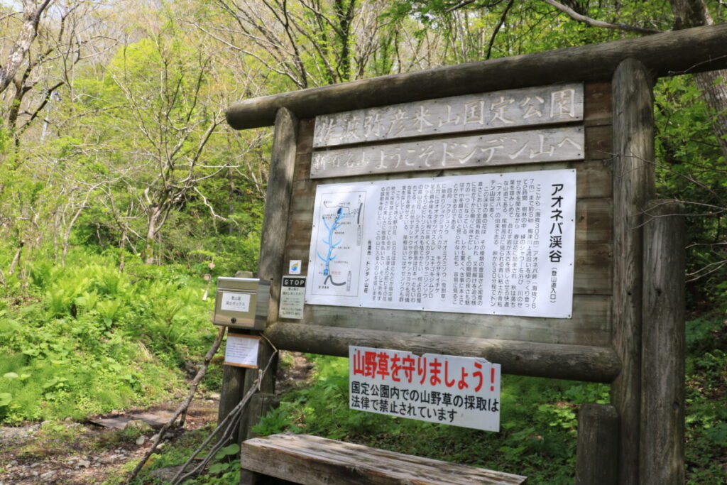 アオネバ登山口にあるアオネバ渓谷の案内板