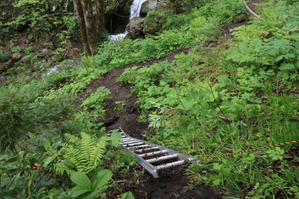沢の近くの登山道にかかる梯子