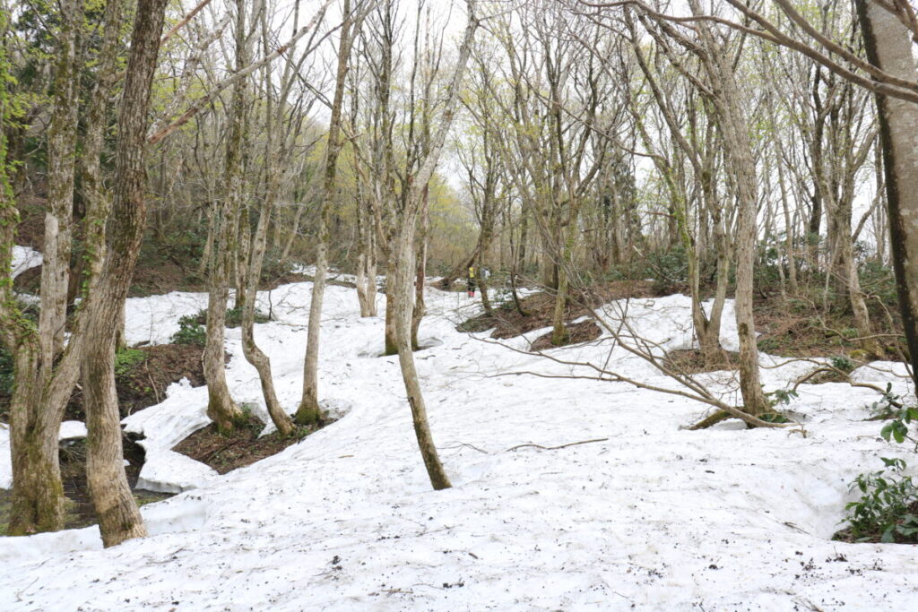 雪が多く残る登山道